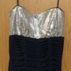 Deb Size XL Blue with Silver Sequins. Does not come with outer shell